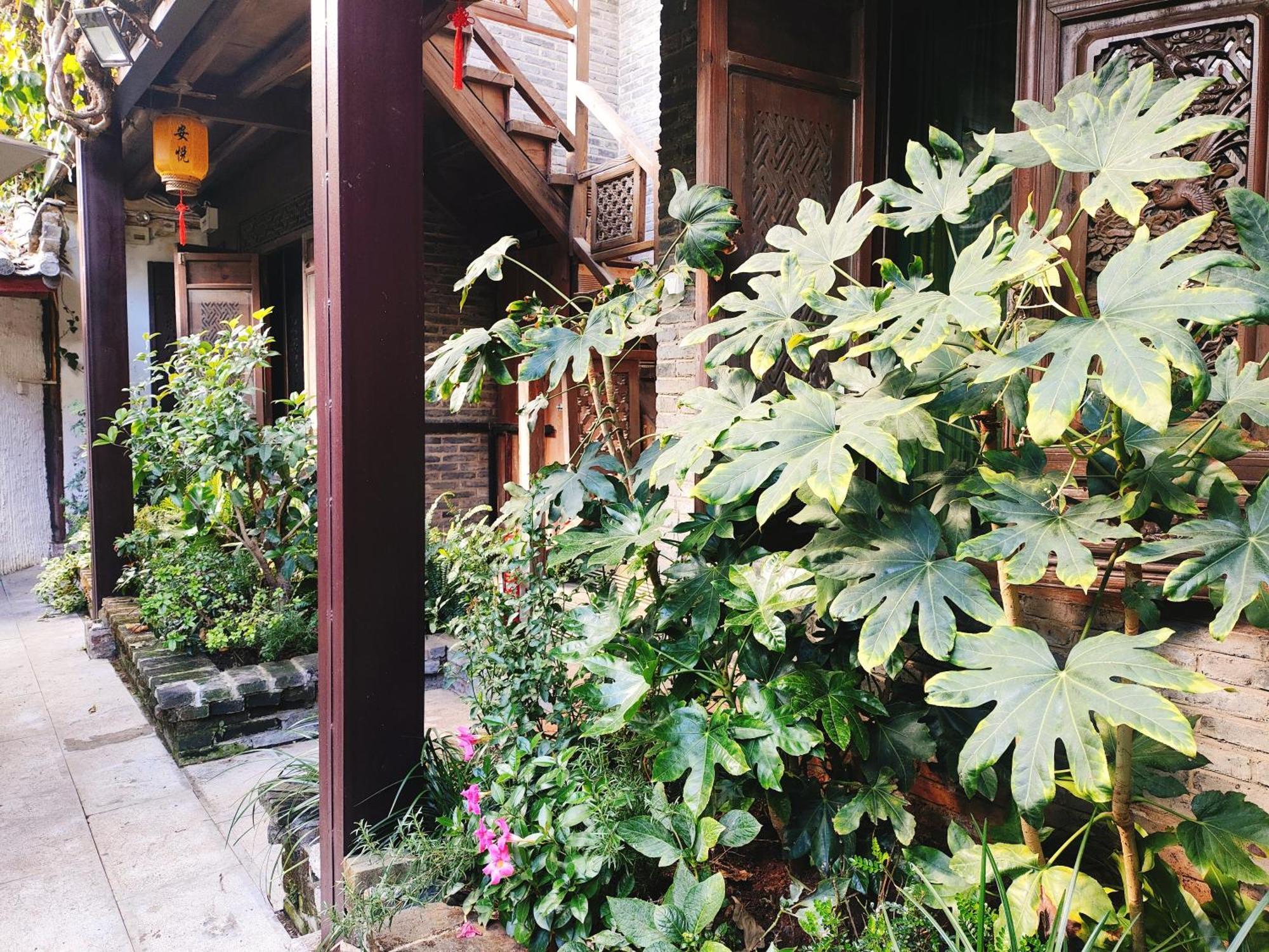 Big Tree Guesthouse - Naxi Old Style Lijiang  Buitenkant foto